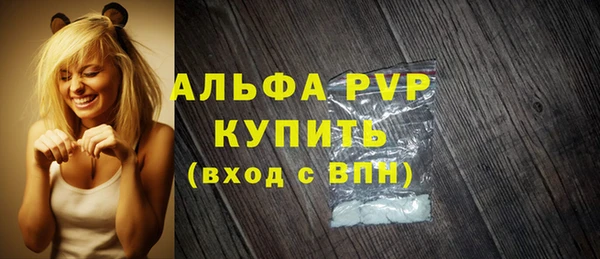 молекула духа Арсеньев