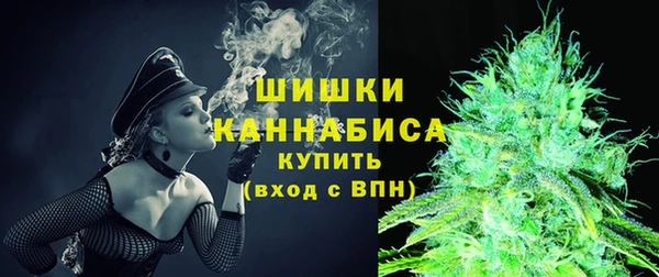 шишки Алзамай